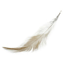 20 PCS Dyed Rooster Feathers for Decoration 10 -15 cm - brown W5H8