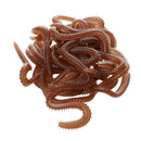 Realistic Earth Worm Lures Soft Lures Artificial Bait 1.2inch Red Freshwater