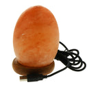 USB Charging Crystal Decor Hand Crafted Natural Himalayan Salt Lamp Night Light