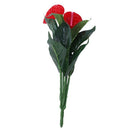 Anthurium, green potted anthurium flowers indoor green plants balcony