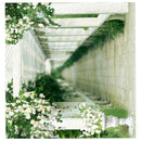 Photography Backdrop Wedding Bridal Photo Studio Background Vinyl 10x10FT