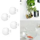 4-Pack Wall Plant Terrariums Glass Hanging Planter Hexagon Air Plants Holder
