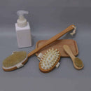 Dry Brush Skin Body Exfoliating Massager Bath Shower Scrubber Loofah Sponge Set