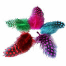 50pcs Mixed Color Simulation feather S7X1