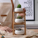 Decorative Small Round Succulent Plant Pot 3 Tier Bamboo Stand-Window Displ