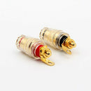 2 Pair 4mm Binding Post Banana Plug Terminal Speaker Test Socket Connec OLS