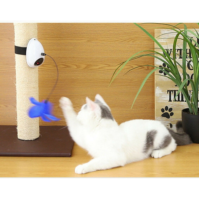 Kitten Cat Teaser Electronic Mouse Light Teaser with Feather for Pet Cats