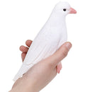 Surprise Stage Magic Tricks Simulation Lifelike Pigeons Magic Tricks Props T FT