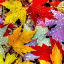 5D DIY Full Drill Diamond Painting Maple Leaf Cross Stitch Mosaic Craft Kit