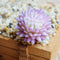 4Pcs/Set Artificial Succulent Plants + White Square Ceramic Pots succulent  F4F8
