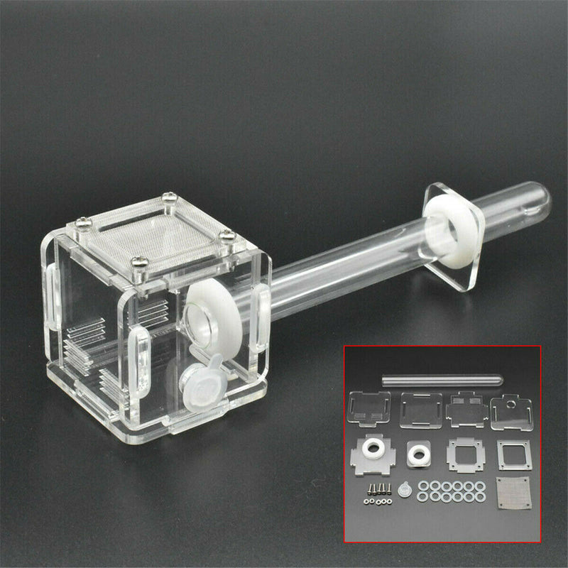 Mini Glass Tube Nest Housing Ant Farm Formicarium With Feeding For Ant Colony