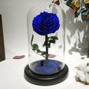 Glass Cover Fresh Preserved Rose Flower Barbed Rose Flores For Wedding Marr