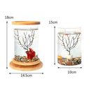 Glass Aquarium Bamboo Base Mini Fish Tank Decoration Fish Bowl Office Micro H6O6