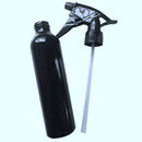 300Ml Empty Aluminum Metal Bottle With Black Fine Mist Spray For Body Depic