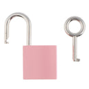 Cute Security Travel Lock Lockout Suitcase Drawer Alloy Padlock with 1 Key