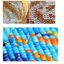 Diy 5D Diamond Painting By Number Kits, Full Drill Rhinestone Embroidery Pi A6B8