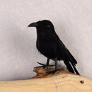 Artificial Feathered Crows Ravens DIY Birds Craft for Home Garden Lawn