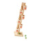 Clown Table Marble Ball Run Track Game Educational Toys Ball Drop Toys Gift