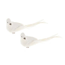 2 Pieces Simulation Feathered Foam Long Tail Pigeon Outdoor Decor Prop