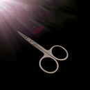 Stainless Steel Nose Hair Scissor Ear Facial Trimmer Cutter Beauty tool dsd IAA