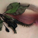 Natural Pressed Embossed Dried Flowers Sweet Pink Daisy Makeup Floral Crafts