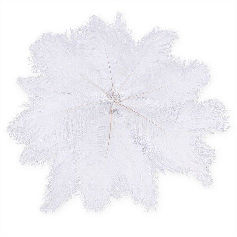 20 x natural ostrich feather 25-30cm white decoration festivities Y3Q7