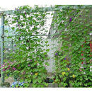 5.90x8.85Ft Garden Plant Trellis Plant Climbing Net Nylon Trellis Netting