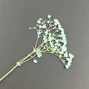 Fashion Mixed Dried Flowers Nail Art DIY Women Girl Decor Flower Manicure Crafts