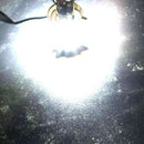 LED Motorcycle Bike Car H4 3 COB HI/Lo Beam Headlight Lamp Bulb Kit 2000LM 6000k