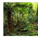 Aquarium   Tank Background Poster Rainforest Landscape Decor 60x150cm