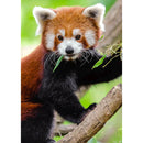 5D DIY Full Round Drill Diamond Painting Climbing Koala Cross Stitch Decor A
