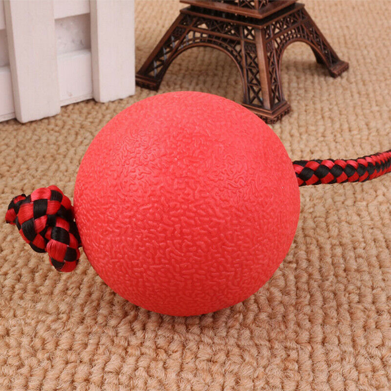 Indestructible Dog Ball on a Rope for Pet Puppy Toys Tug Balls Pet Chew Toys Z