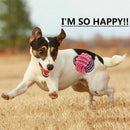 1X(Indestructible Dog Toys For Aggressive Chewers 100% Safe Best Small Medi