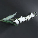 5pcs High Quality Artificial Phalaenopsis Orchid Flowers Silk Flower Weddin X2H7