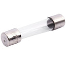 10 Pcs Fast Blow Type Glass Tube Fuses 6x30mm 250V 3Amp H3P6