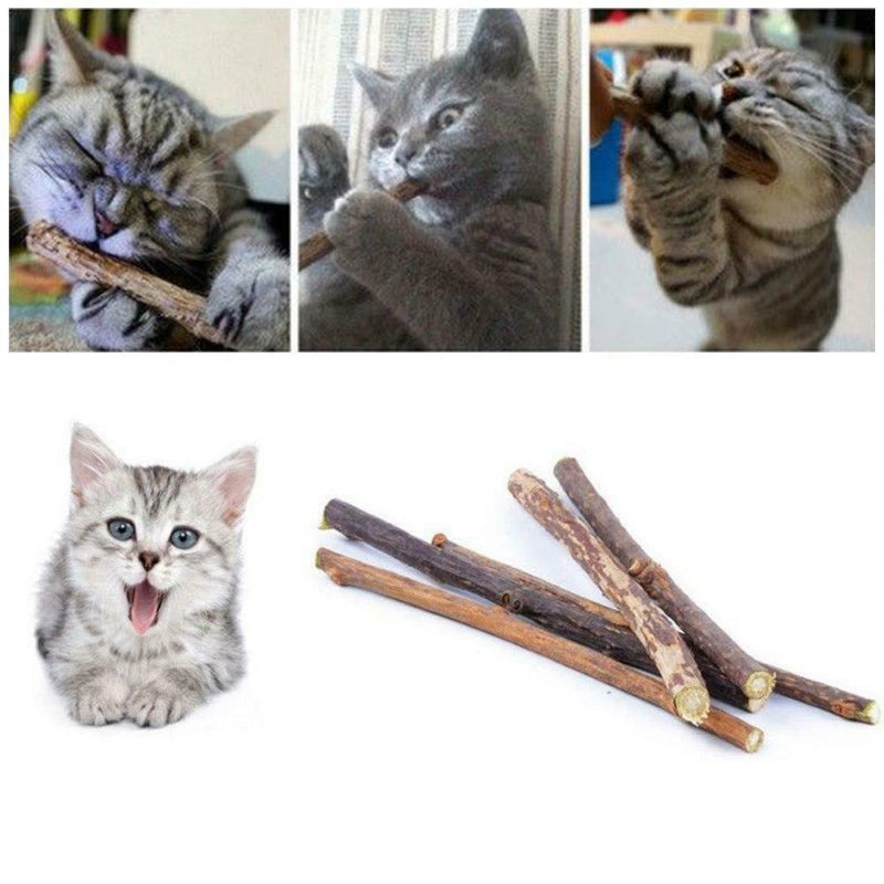 10x Cat Snacks Natural Matatabi Chew Catnip Stick Teeth Molar Cleaning Brus M1R8