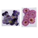 22Pcs Dried Pressed Flowers Butterfly Shape Scrapbooking Art Crafts Specimen