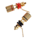 2pcs Screw Plated Speaker Binding Posts Terminal 4mm Sockets for Banana Plugs