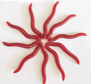 50Pcs Red Earthworm Fishing Bait Worm Lures Crankbaits Hooks Baits Tackle Soft !