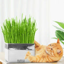 Pet Cat Grass Soilless Culture Growing Kit Cats Stomach Control Planter Hai B4Y5