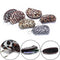 2Pcs Women Leopard Mini Wallet Card Holder Zip Coin Purse Clutch Handba  Kw