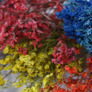 Garden Micro Landscape Accessories Dried Flowers Crystal Grass DIY Home DSEAU