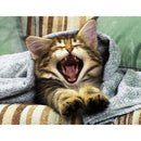 DIY Animal 5D Full Square Drill Diamond Painting Cross Stitch Gift (NF0149) A