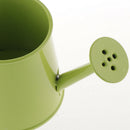 Pastoral Style Colorful Metal Tin Flower Pot Mini Bonsai Watering Can Green