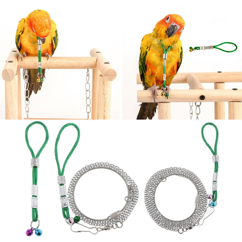 Pet Bird Mirror & Perch +Birds Harness Leash
