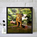 5D DIY Diamond Painting Full Drill Lion Zoo Embroidery Cross Stitch Kit Art