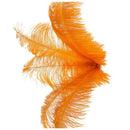10 pcs Natural Ostrich Feathers Wedding Party Decoration Orange 20-25cm R1P8