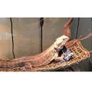 100% Natural Seagrass Reptile Hammock Lounger Anoles Geckos Iguanas Rectangle