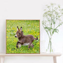 5D DIY Diamond Painting Donkey Full Round Drill Embroidery Home Decor Craft