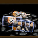 10Pcs Fossils Collection Kit w/ Display Box for Kids Early Biology Learning